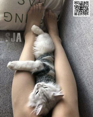 红色的果实