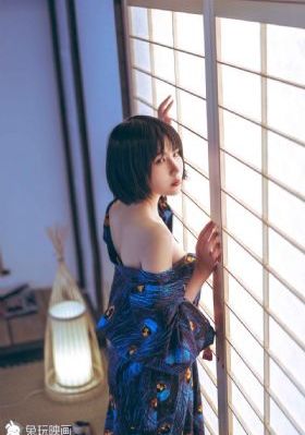 大丫鬟 电视剧免费观看