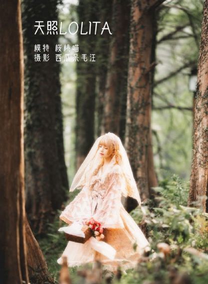 嗯啊不要了h